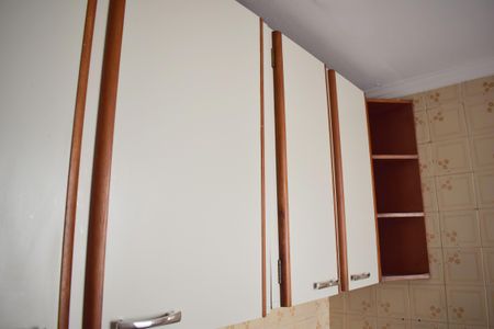 Apartamento para alugar com 55m², 2 quartos e 1 vagaCozinha - Armários