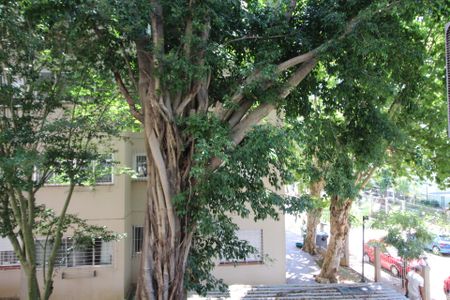 Apartamento para alugar com 40m², 1 quarto e sem vagaVista