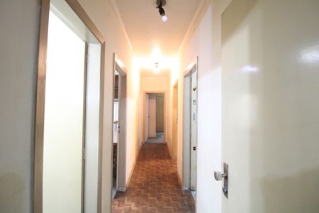 Corredor de casa para alugar com 3 quartos, 300m² em Jardim das Flores, São Paulo