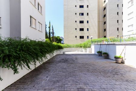 Apartamento para alugar com 60m², 2 quartos e 1 vaga Apartamento para alugar com 60m², 2 quartos e 1 vagaÁrea comum