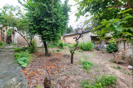 Casa para alugar com 1000m², 3 quartos e 7 vagasQuintal