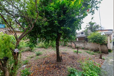 Casa para alugar com 1000m², 3 quartos e 7 vagasQuintal