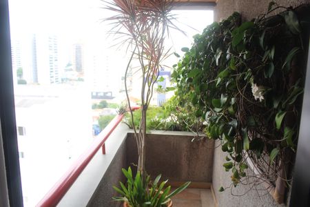 Apartamento à venda com 348m², 3 quartos e 3 vagasSuíte 1