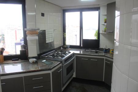 Apartamento à venda com 348m², 3 quartos e 3 vagasCozinha