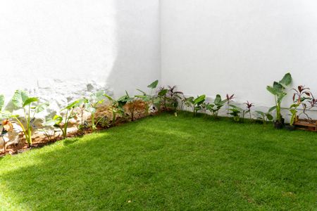 Casa à venda com 360m², 5 quartos e 4 vagasQuintal