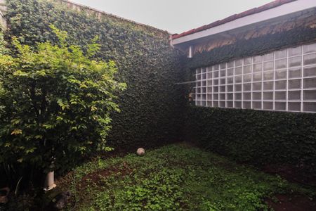Casa de condomínio à venda com 220m², 4 quartos e 4 vagas Casa de condomínio à venda com 220m², 4 quartos e 4 vagasQuintal