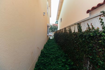 Casa de condomínio à venda com 220m², 4 quartos e 4 vagas Casa de condomínio à venda com 220m², 4 quartos e 4 vagasQuintal