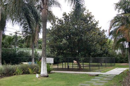 Apartamento para alugar com 48m², 1 quarto e 1 vagaÁrea comum