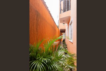 Casa à venda com 245m², 3 quartos e 2 vagas Casa à venda com 245m², 3 quartos e 2 vagasCorredor Lateral