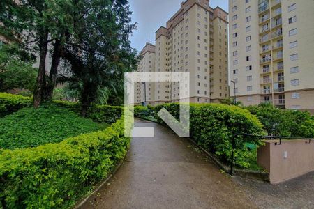 Apartamento para alugar com 75m², 3 quartos e 1 vagaÁrea comum