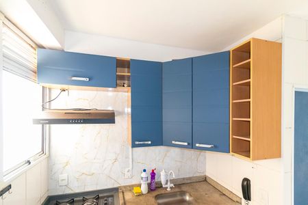 Apartamento para alugar com 52m², 2 quartos e 1 vagaCozinha - Armários