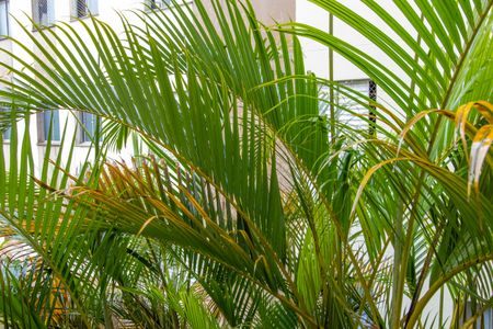 Vista da Sala de apartamento para alugar com 2 quartos, 55m² em Jardim da Gloria, Cotia