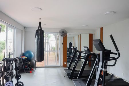 Apartamento para alugar com 53m², 2 quartos e 1 vaga Apartamento para alugar com 53m², 2 quartos e 1 vagaÁrea comum - Academia