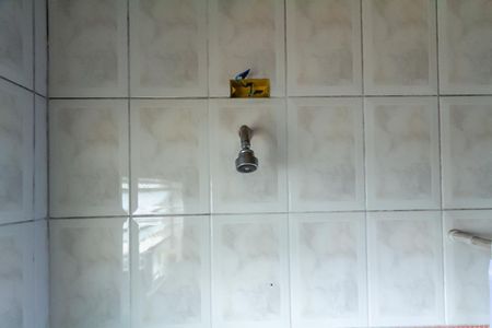 Casa à venda com 260m², 5 quartos e 5 vagasBanheiro Social 1