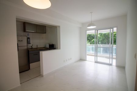 Sala de apartamento para alugar com 1 quarto, 55m² em Jardim Santo Amaro, São Paulo