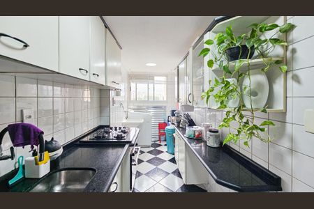 Apartamento à venda com 74m², 3 quartos e 1 vaga Apartamento à venda com 74m², 3 quartos e 1 vagaCozinha e área de serviço