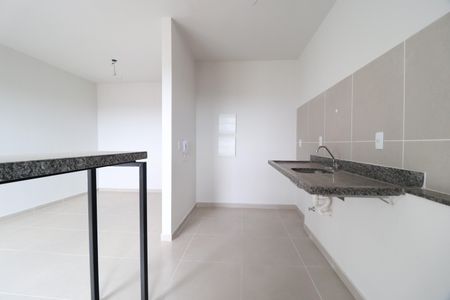 Apartamento para alugar com 60m², 2 quartos e 1 vagaCozinha
