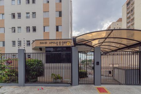 Apartamento para alugar com 68m², 3 quartos e 1 vagaFachada