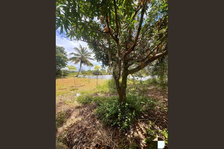 Casa para alugar com 750m², 4 quartos e 2 vagasÁrea externa