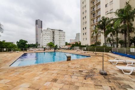 Área comum - Piscina de apartamento à venda com 2 quartos, 50m² em Jardim Aeroporto, São Paulo