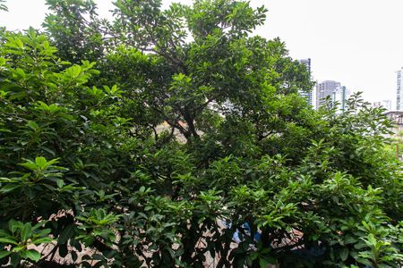 Vista do Studio de kitnet/studio para alugar com 1 quarto, 24m² em Tatuapé, São Paulo