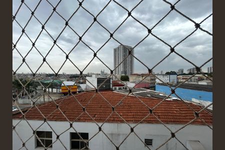 Apartamento para alugar com 74m², 3 quartos e 1 vagaVista do Quarto 1