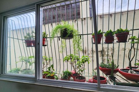 Vista de apartamento para alugar com 2 quartos, 90m² em Rio Comprido, Rio de Janeiro