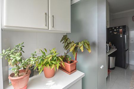 Apartamento à venda com 56m², 2 quartos e 1 vagaÁrea de Serviço