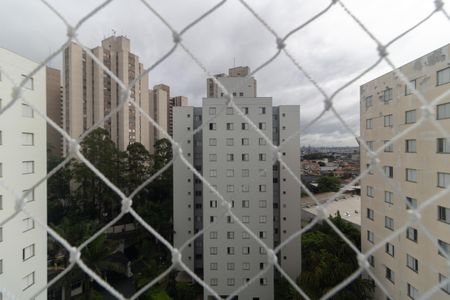 Apartamento à venda com 51m², 2 quartos e 1 vagaVista do Quarto 2