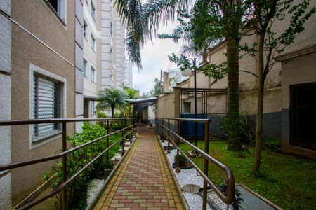 Apartamento para alugar com 47m², 2 quartos e 1 vaga Apartamento para alugar com 47m², 2 quartos e 1 vagaÁrea comum