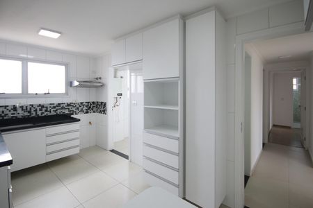 Apartamento para alugar com 123m², 3 quartos e 2 vagasCozinha - Armários