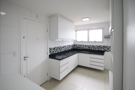 Apartamento para alugar com 123m², 3 quartos e 2 vagasCozinha - Armários