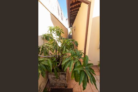 Casa à venda com 465m², 4 quartos e 6 vagas Casa à venda com 465m², 4 quartos e 6 vagasÁREA DE LUZ