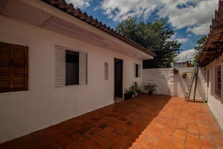 Casa para alugar com 304m², 5 quartos e sem vagaQuintal