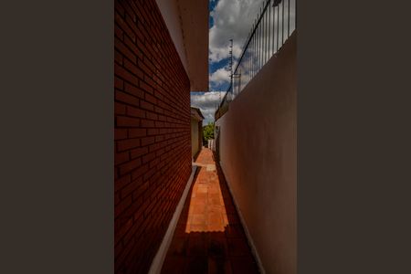 Casa para alugar com 304m², 5 quartos e sem vagaQuintal