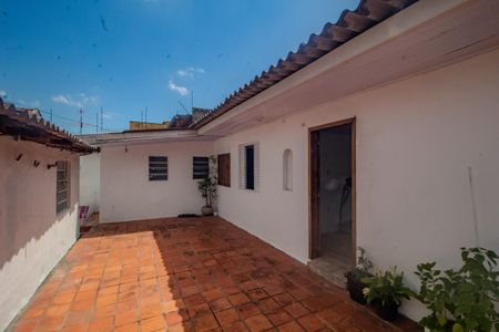 Casa para alugar com 304m², 5 quartos e sem vagaQuintal