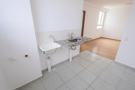 cozinha de apartamento para alugar com 2 quartos, 45m² em Juliana, Belo Horizonte