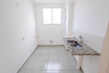 cozinha de apartamento para alugar com 2 quartos, 45m² em Juliana, Belo Horizonte