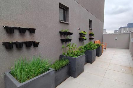 Apartamento para alugar com 34m², 2 quartos e sem vagaÁrea comum