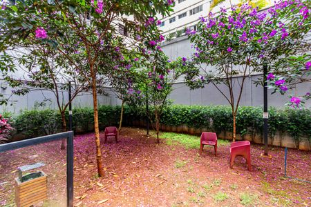 Apartamento para alugar com 24m², 1 quarto e sem vagaÁrea comum - Espaço pet