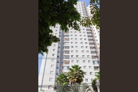 Apartamento para alugar com 68m², 3 quartos e 1 vagaFachada