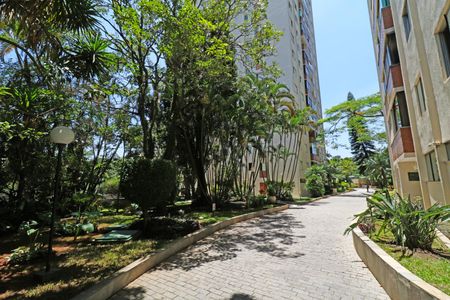 Apartamento à venda com 79m², 3 quartos e 1 vagaÁrea comum