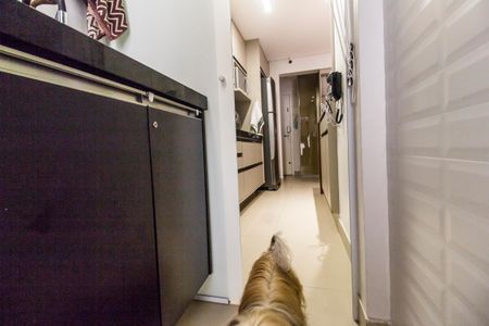 Apartamento à venda com 63m², 2 quartos e 1 vagaÁrea de Serviço