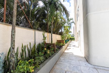 Apartamento para alugar com 64m², 3 quartos e 1 vaga Apartamento para alugar com 64m², 3 quartos e 1 vagaJardins