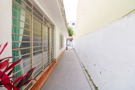 Casa à venda com 360m², 4 quartos e 4 vagasQuintal
