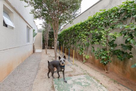 Apartamento à venda com 38m², 1 quarto e 1 vaga Apartamento à venda com 38m², 1 quarto e 1 vagaEspaço Pet