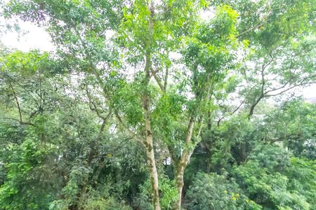 Apartamento para alugar com 49m², 2 quartos e 1 vagaVista do Quarto 2