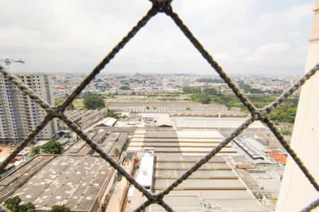 Vista da Suíte de apartamento para alugar com 3 quartos, 80m² em Campestre, Santo André