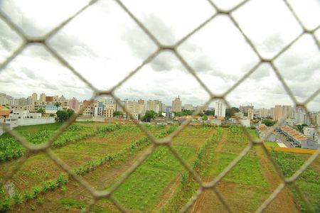 Sala - Varanda - Vista  de apartamento à venda com 2 quartos, 67m² em Nova Petrópolis, São Bernardo do Campo