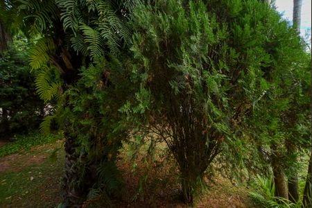 Casa de condomínio para alugar com 120m², 3 quartos e 4 vagasVista do Quarto 2